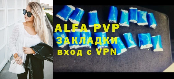 гашик Алексин