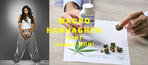 гашик Алексин