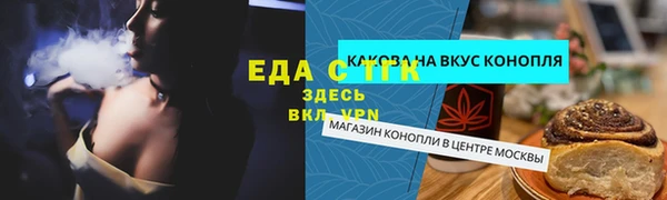 гашик Алексин