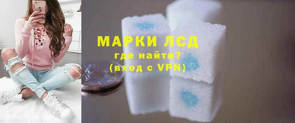 хмурый Алзамай
