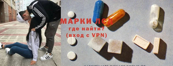 гашик Алексин