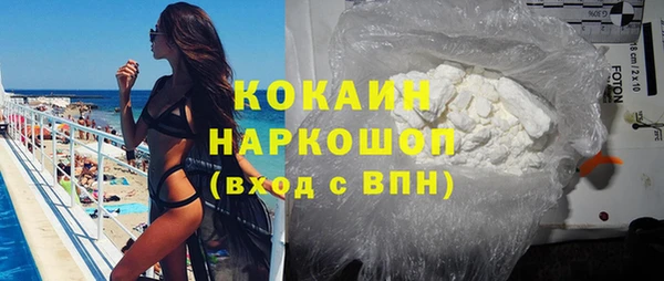 гашик Алексин