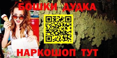 МДПВ Кингисепп