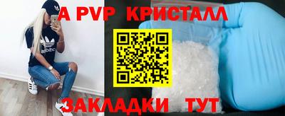 МДПВ Кингисепп