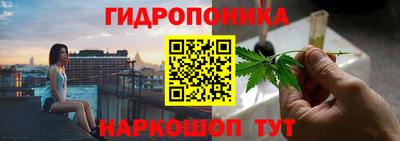 шишки Кинель